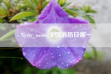 台湾全国消防日哪一