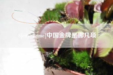 台湾中国金牌是哪几项