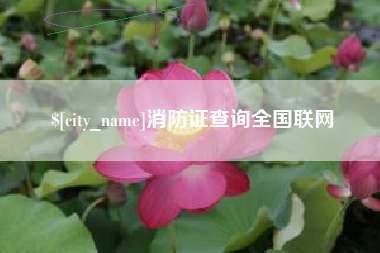 台湾消防证查询全国联网