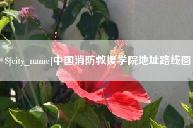 台湾中国消防救援学院地址路线图