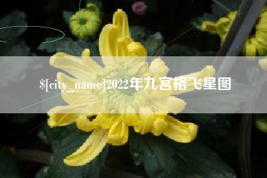 台湾2022年九宫格飞星图