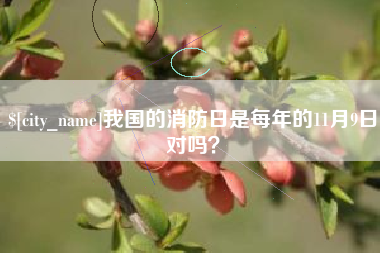 台湾我国的消防日是每年的11月9日对吗？