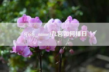 台湾九宫如何排日