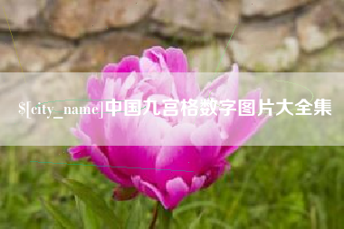 台湾中国九宫格数字图片大全集