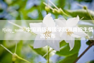 台湾中国消防救援学院湖南招生情况公布