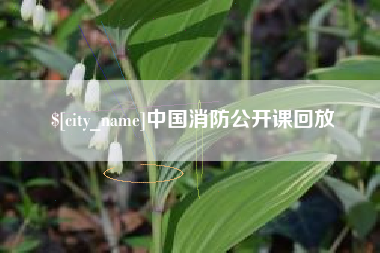 台湾中国消防公开课回放