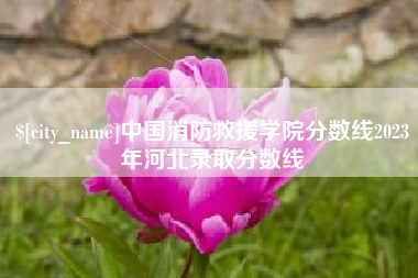 台湾中国消防救援学院分数线2023年河北录取分数线