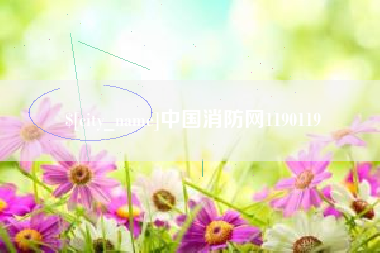 台湾中国消防网1190119