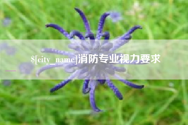 台湾消防专业视力要求