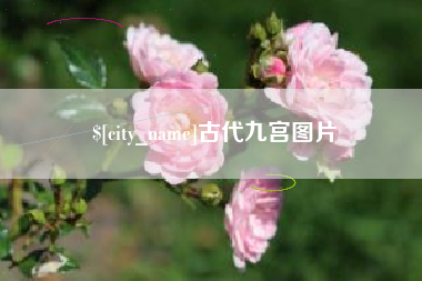 台湾古代九宫图片