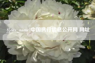 台湾中国执行信息公开网 网址