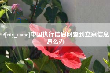 台湾中国执行信息网查到立案信息怎么办