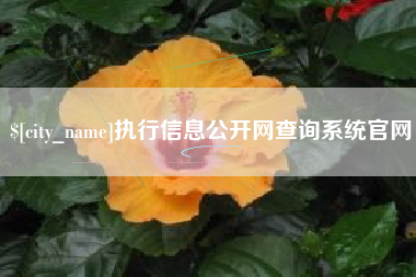 台湾执行信息公开网查询系统官网