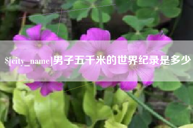台湾男子五千米的世界纪录是多少