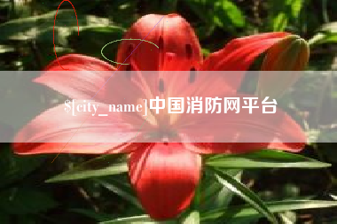 台湾中国消防网平台