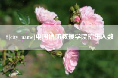 台湾中国消防救援学院招生人数