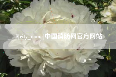 台湾中国消防网官方网站