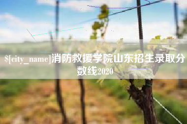 台湾消防救援学院山东招生录取分数线2020