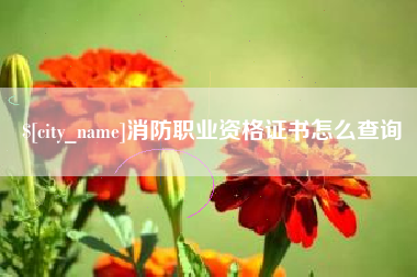 台湾消防职业资格证书怎么查询