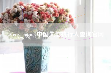 台湾中国失信执行人查询官网