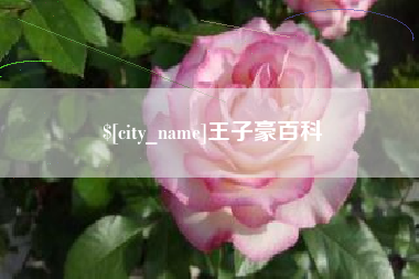 台湾王子豪百科