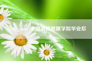 台湾中国消防救援学院毕业后