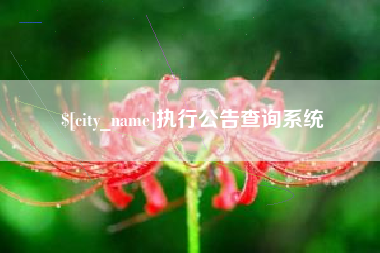 台湾执行公告查询系统