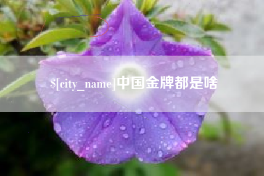台湾中国金牌都是啥