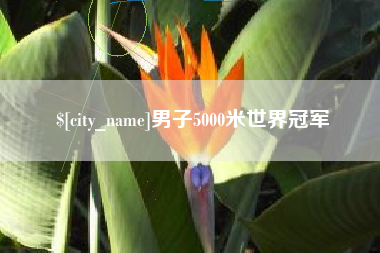 台湾男子5000米世界冠军