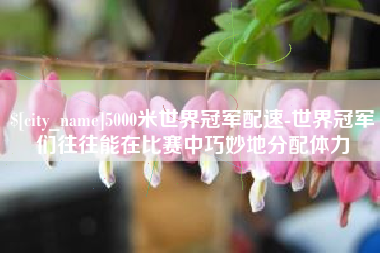 台湾5000米世界冠军配速-世界冠军们往往能在比赛中巧妙地分配体力