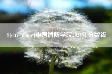 台湾中国消防学院2024年分数线