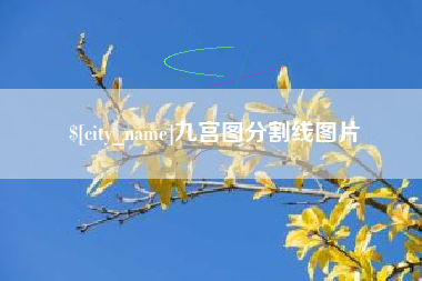 台湾九宫图分割线图片