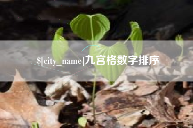 台湾九宫格数字排序