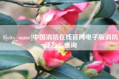 台湾中国消防在线官网电子版消防证怎么查询