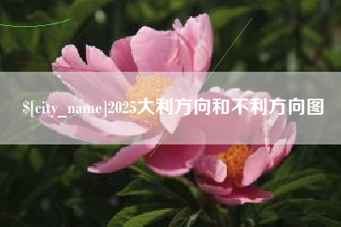 台湾2025大利方向和不利方向图