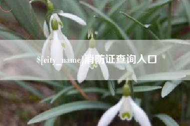 台湾消防证查询入口