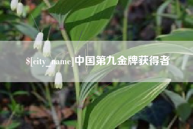 台湾中国第九金牌获得者