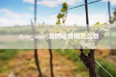 台湾消防证查询怎么查