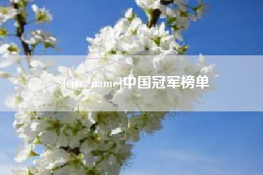 台湾中国冠军榜单