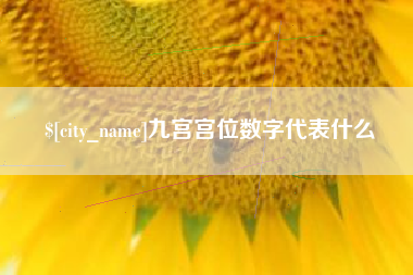 台湾九宫宫位数字代表什么