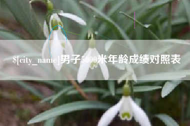 台湾男子5000米年龄成绩对照表