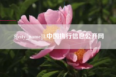 台湾1.中国执行信息公开网