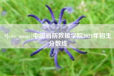 台湾中国消防救援学院2024年招生分数线