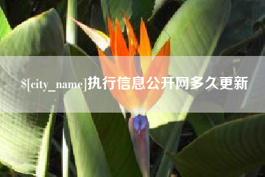 台湾执行信息公开网多久更新