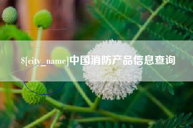 台湾中国消防产品信息查询