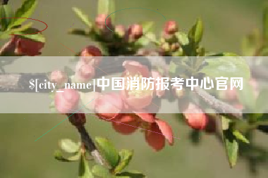 台湾中国消防报考中心官网