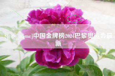 台湾中国金牌榜2024巴黎奥运会最新