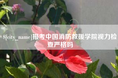 台湾报考中国消防救援学院视力检查严格吗