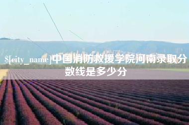台湾中国消防救援学院河南录取分数线是多少分
