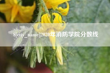 台湾2020年消防学院分数线